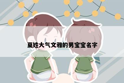 夏姓大气文雅的男宝宝名字