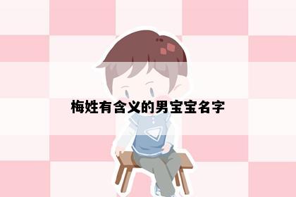 梅姓有含义的男宝宝名字