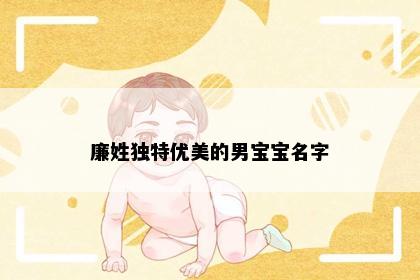 廉姓独特优美的男宝宝名字