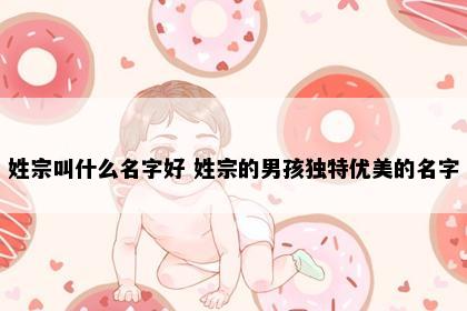 姓宗叫什么名字好 姓宗的男孩独特优美的名字