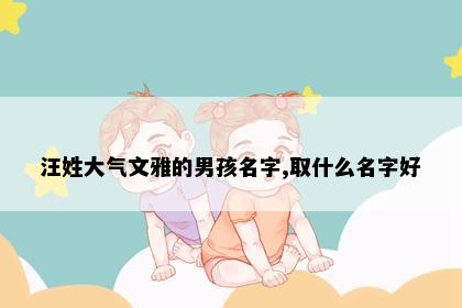 汪姓大气文雅的男孩名字,取什么名字好