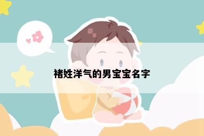 褚姓洋气的男宝宝名字